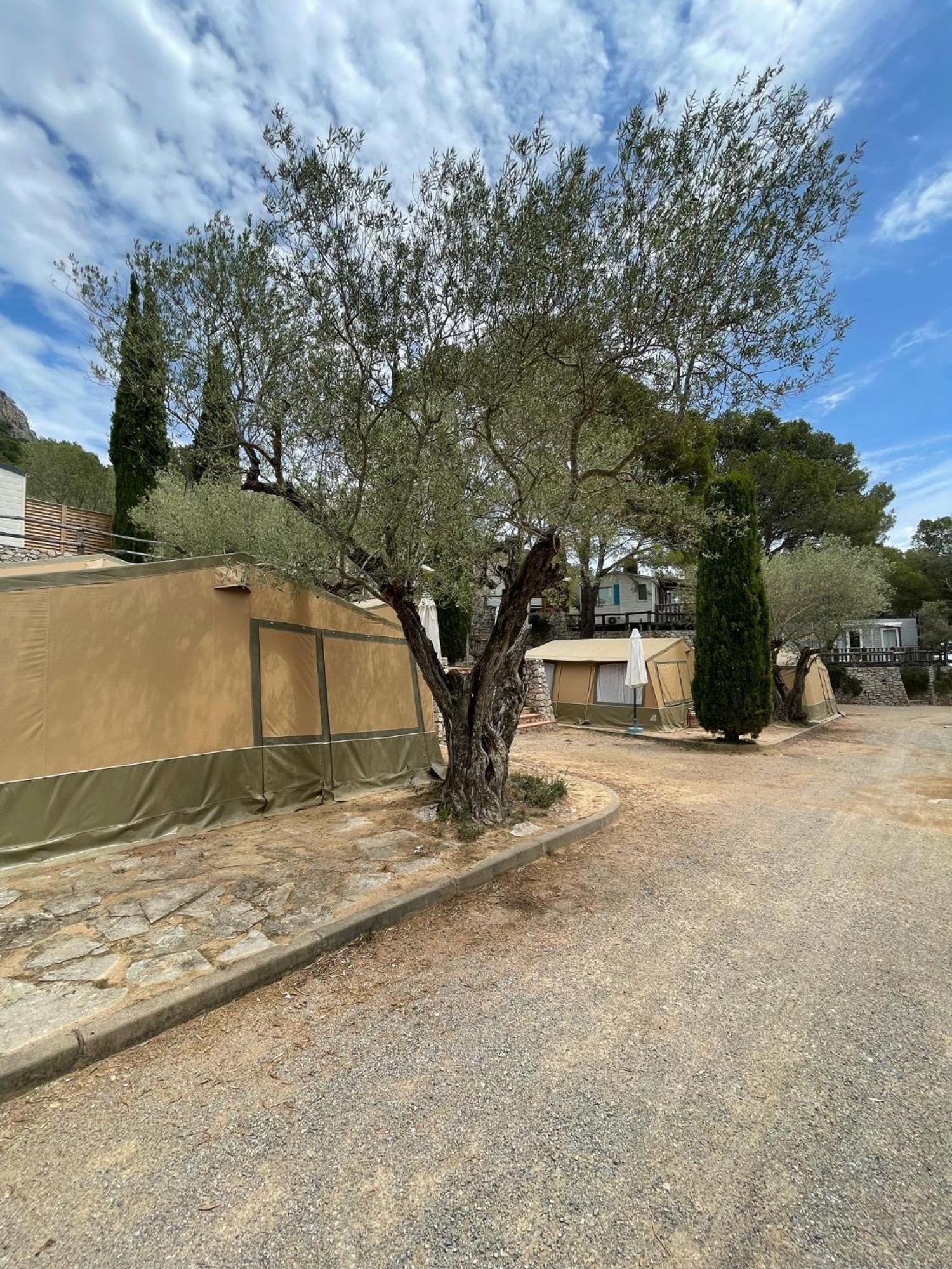 Camping Castell Montgri **** L'Estartit Exteriér fotografie